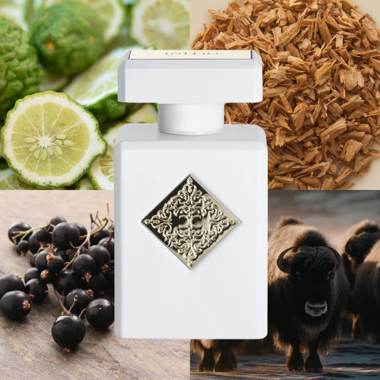 Initio Musk Therapy