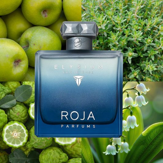 Roja Elysium Pour Homme Eau Intense