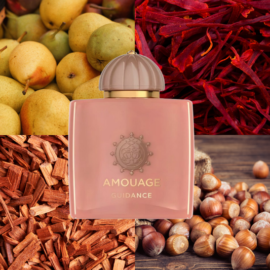 Amouage Guidance