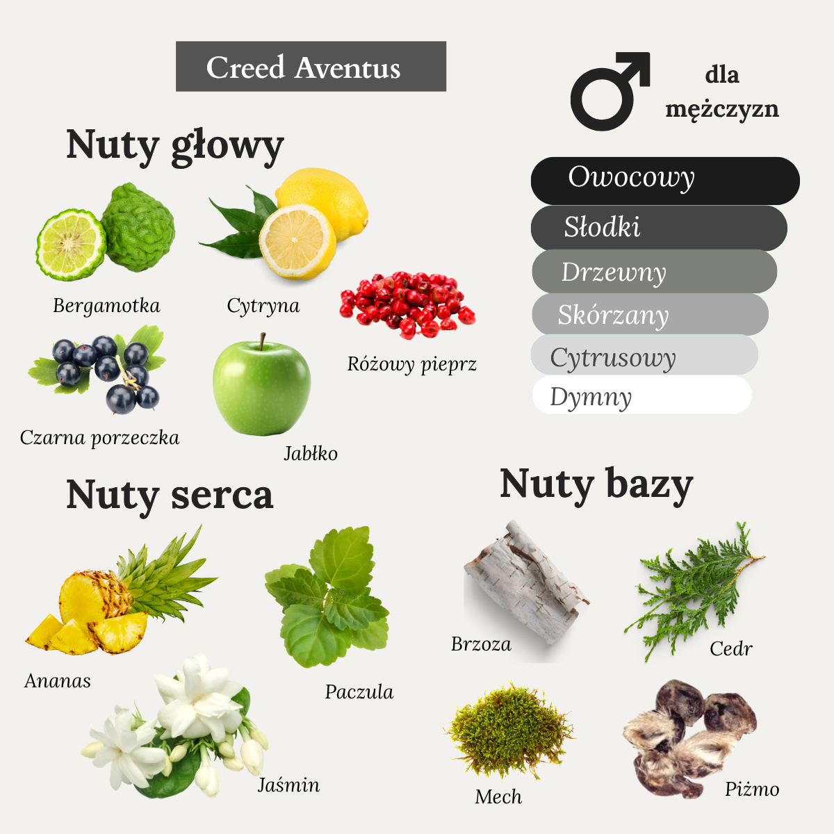 creed_aventus_nuty_zapachowe